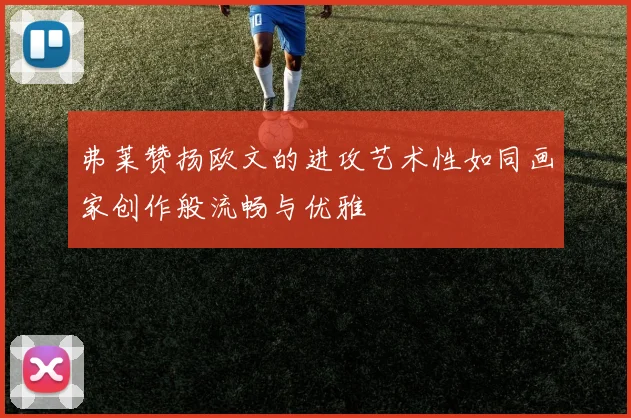 弗莱赞扬欧文的进攻艺术性如同画家创作般流畅与优雅