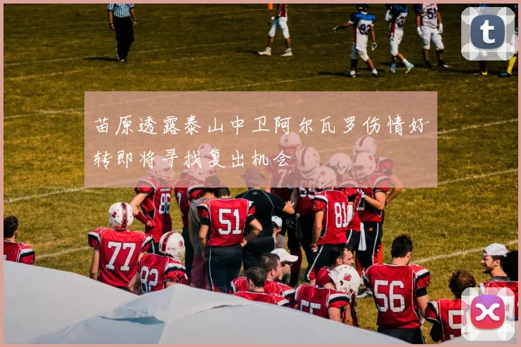 苗原透露泰山中卫阿尔瓦罗伤情好转即将寻找复出机会